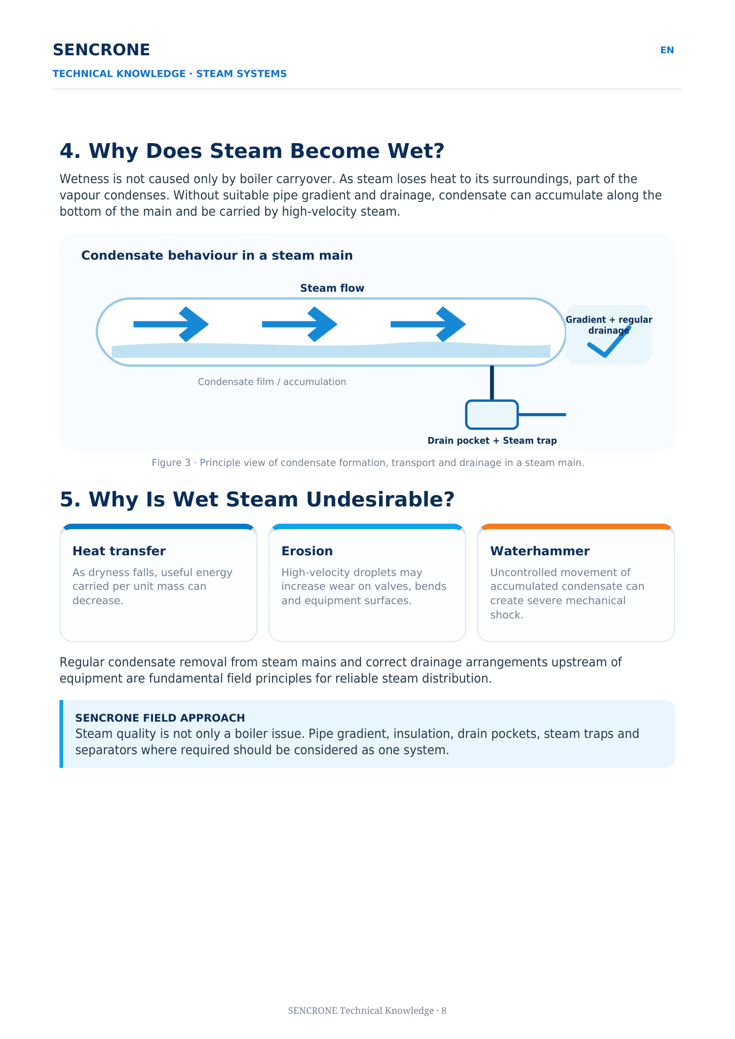 Types of Steam — original approved SENCRONE PDF, English page 3 of 5